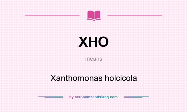 What does XHO mean? It stands for Xanthomonas holcicola