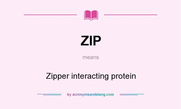What does ZIP mean? It stands for Zipper interacting protein