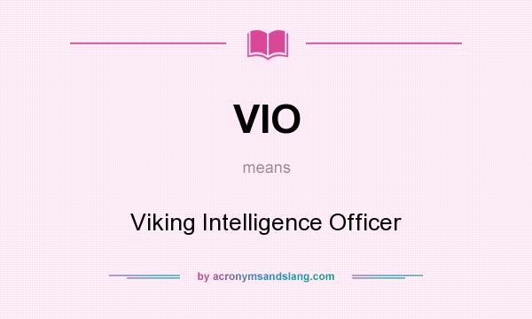 What does VIO mean? It stands for Viking Intelligence Officer