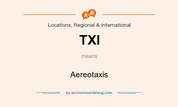 What does TXI mean? It stands for Aereotaxis