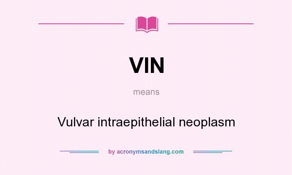 What does VIN mean? It stands for Vulvar intraepithelial neoplasm