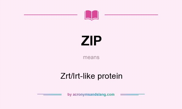 What does ZIP mean? It stands for Zrt/Irt-like protein