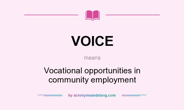 What does VOICE mean? It stands for Vocational opportunities in community employment