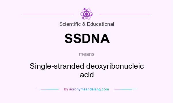 What does SSDNA mean? It stands for Single-stranded deoxyribonucleic acid