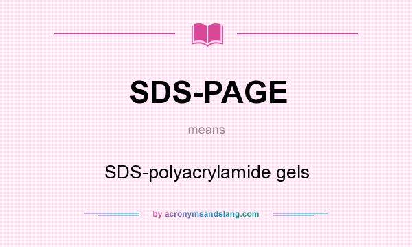 What does SDS-PAGE mean? It stands for SDS-polyacrylamide gels
