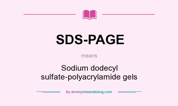 What does SDS-PAGE mean? It stands for Sodium dodecyl sulfate-polyacrylamide gels