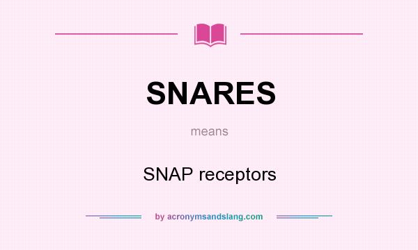 What does SNARES mean? It stands for SNAP receptors