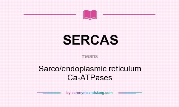 What does SERCAS mean? It stands for Sarco/endoplasmic reticulum Ca-ATPases