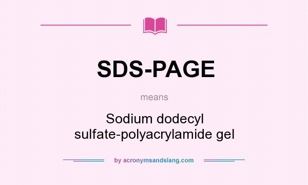 What does SDS-PAGE mean? It stands for Sodium dodecyl sulfate-polyacrylamide gel