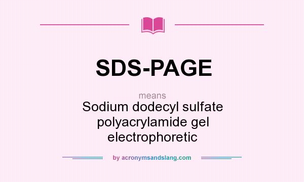 What does SDS-PAGE mean? It stands for Sodium dodecyl sulfate polyacrylamide gel electrophoretic