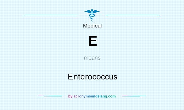 What does E mean? It stands for Enterococcus