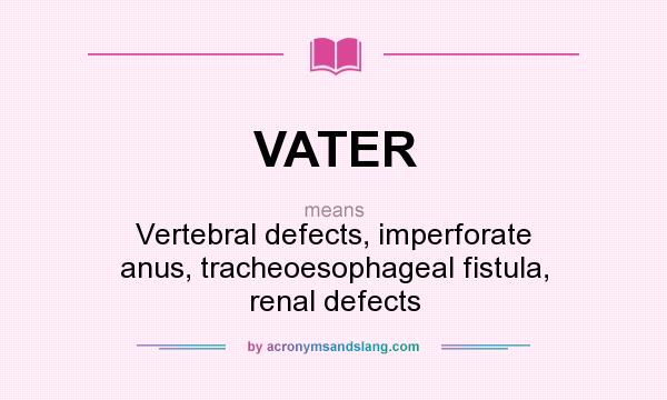 What does VATER mean? It stands for Vertebral defects, imperforate anus, tracheoesophageal fistula, renal defects
