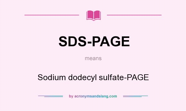 What does SDS-PAGE mean? It stands for Sodium dodecyl sulfate-PAGE