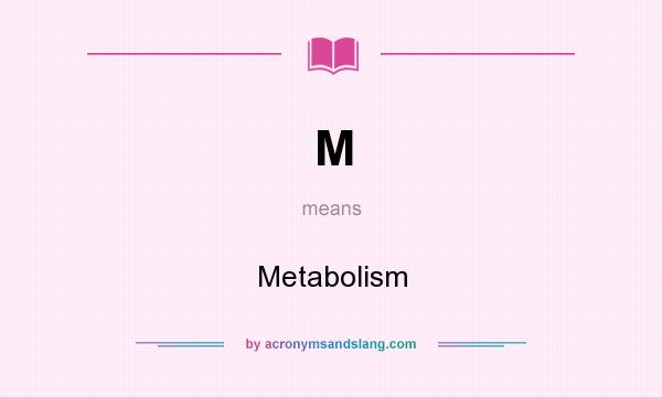 What does M mean? It stands for Metabolism