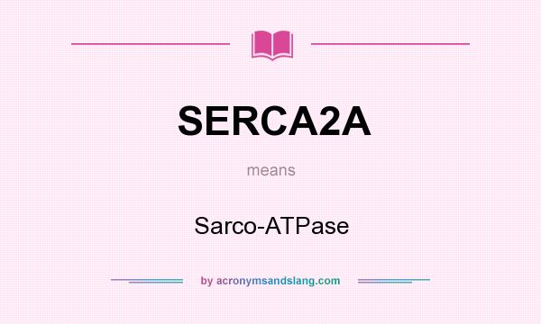 What does SERCA2A mean? It stands for Sarco-ATPase