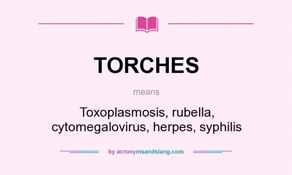 What does TORCHES mean? It stands for Toxoplasmosis, rubella, cytomegalovirus, herpes, syphilis
