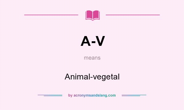 What does A-V mean? It stands for Animal-vegetal