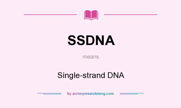 What does SSDNA mean? It stands for Single-strand DNA