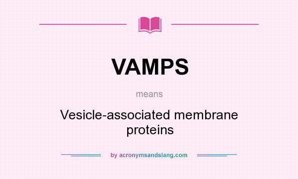 What does VAMPS mean? It stands for Vesicle-associated membrane proteins