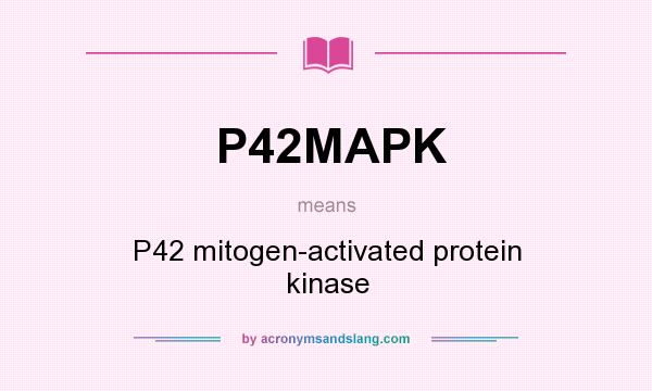 What does P42MAPK mean? It stands for P42 mitogen-activated protein kinase