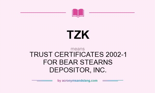 What does TZK mean? It stands for TRUST CERTIFICATES 2002-1 FOR BEAR STEARNS DEPOSITOR, INC.