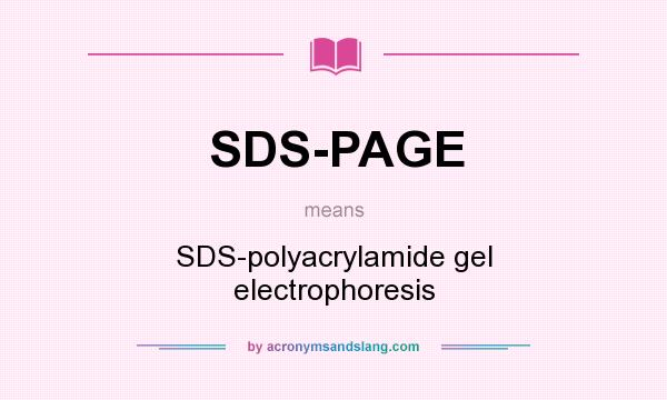 What does SDS-PAGE mean? It stands for SDS-polyacrylamide gel electrophoresis
