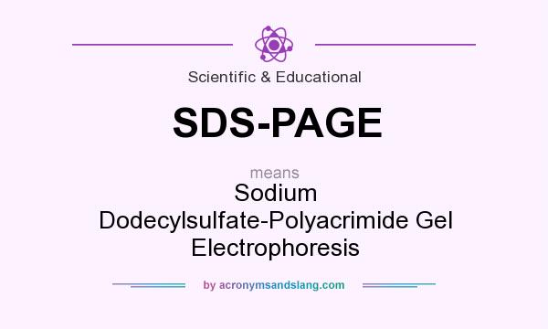 What does SDS-PAGE mean? It stands for Sodium Dodecylsulfate-Polyacrimide Gel Electrophoresis