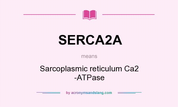 What does SERCA2A mean? It stands for Sarcoplasmic reticulum Ca2 -ATPase