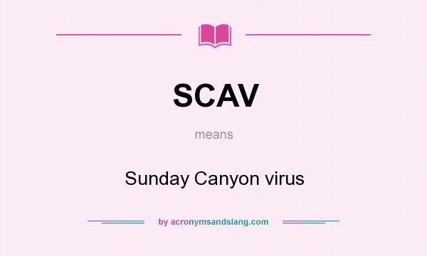 What does SCAV mean? It stands for Sunday Canyon virus