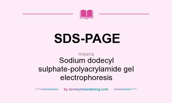 What does SDS-PAGE mean? It stands for Sodium dodecyl sulphate-polyacrylamide gel electrophoresis