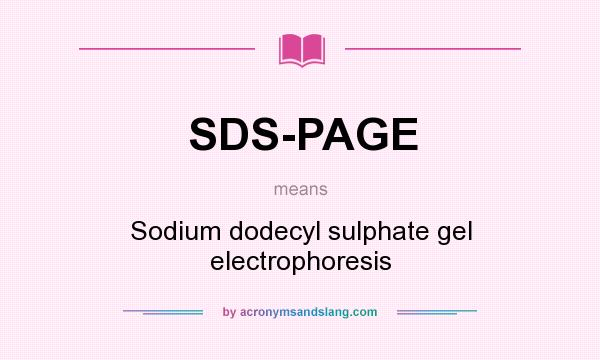 What does SDS-PAGE mean? It stands for Sodium dodecyl sulphate gel electrophoresis
