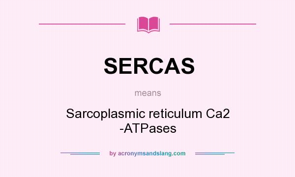 What does SERCAS mean? It stands for Sarcoplasmic reticulum Ca2 -ATPases