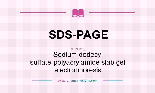 What does SDS-PAGE mean? It stands for Sodium dodecyl sulfate-polyacrylamide slab gel electrophoresis