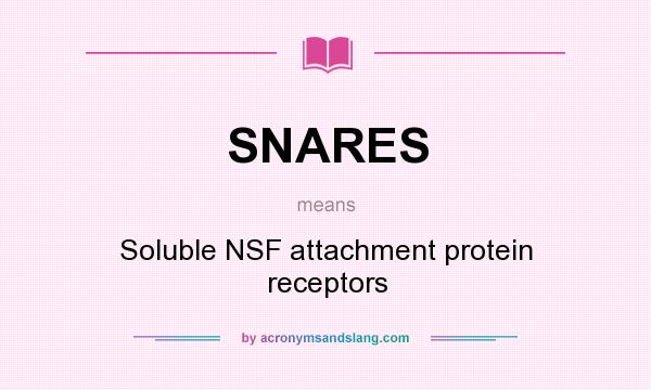 What does SNARES mean? It stands for Soluble NSF attachment protein receptors