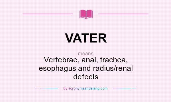 What does VATER mean? It stands for Vertebrae, anal, trachea, esophagus and radius/renal defects