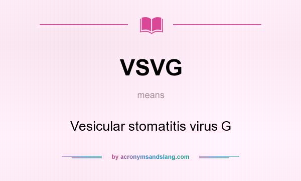 What does VSVG mean? It stands for Vesicular stomatitis virus G