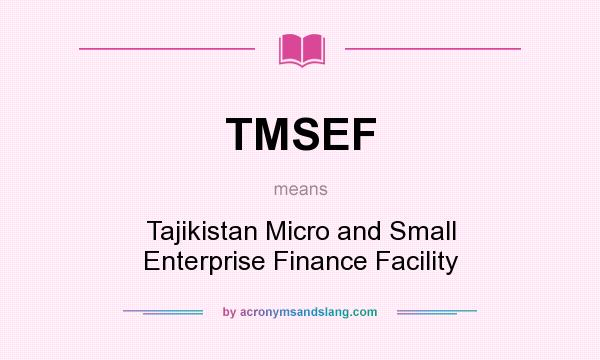 What does TMSEF mean? It stands for Tajikistan Micro and Small Enterprise Finance Facility