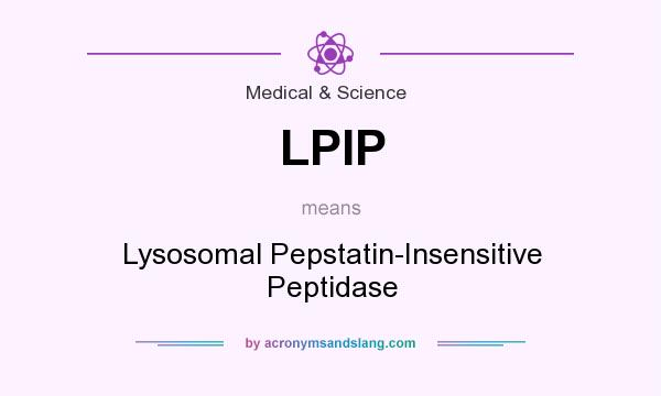 What does LPIP mean? It stands for Lysosomal Pepstatin-Insensitive Peptidase