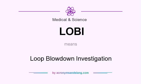 What does LOBI mean? It stands for Loop Blowdown Investigation