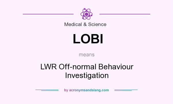 What does LOBI mean? It stands for LWR Off-normal Behaviour Investigation
