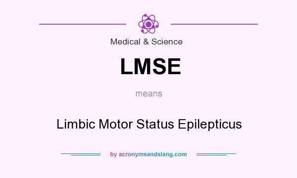 What does LMSE mean? It stands for Limbic Motor Status Epilepticus