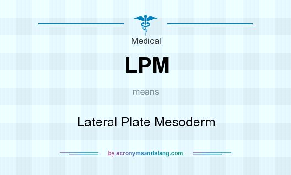 What does LPM mean? It stands for Lateral Plate Mesoderm