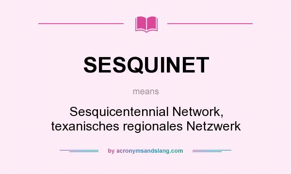 What does SESQUINET mean? It stands for Sesquicentennial Network, texanisches regionales Netzwerk