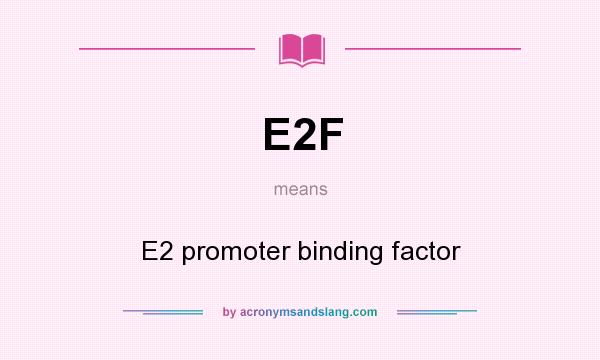 What does E2F mean? It stands for E2 promoter binding factor