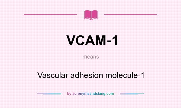 What does VCAM-1 mean? It stands for Vascular adhesion molecule-1