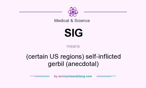 What does SIG mean? It stands for (certain US regions) self-inflicted gerbil (anecdotal)
