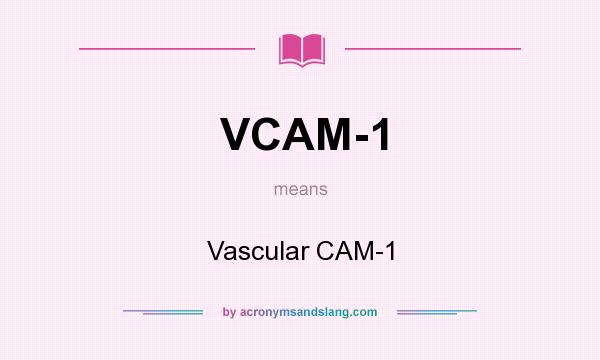 What does VCAM-1 mean? It stands for Vascular CAM-1