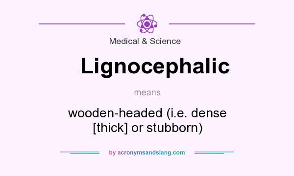 What does Lignocephalic mean? It stands for wooden-headed (i.e. dense [thick] or stubborn)