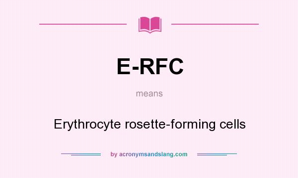 What does E-RFC mean? It stands for Erythrocyte rosette-forming cells