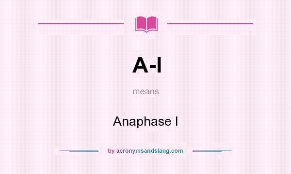 What does A-I mean? It stands for Anaphase I
